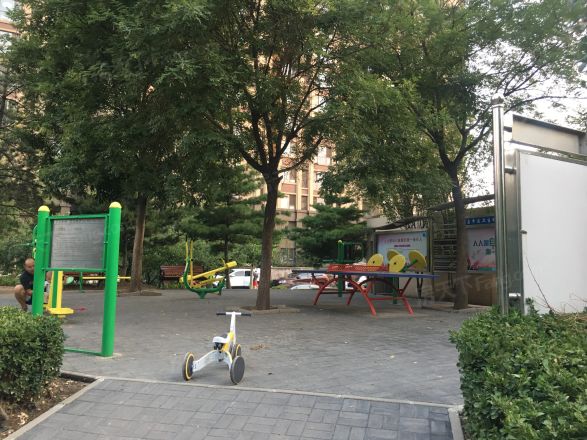 龙山华府实景图