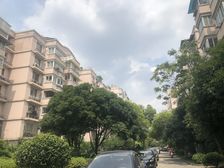 新上小两房,户型正气,市场已经热起来了,别犹豫了