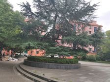 新上两房一梯两户双南全明看房随时诚心出售