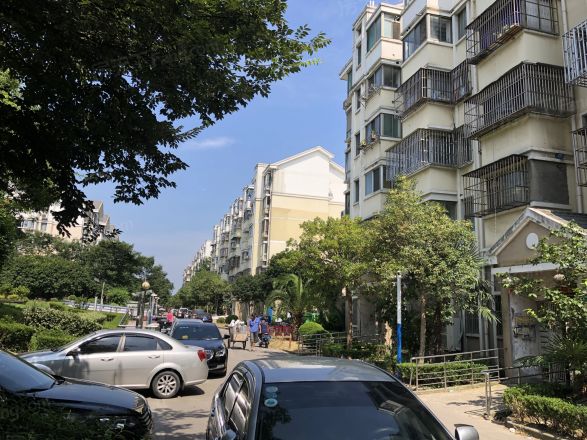 龙沟新苑实景图