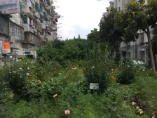 正规复式,一梯两户,边套全明,满五唯①,看房方便!