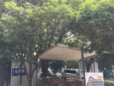 正常顶楼复式,精装修拎包入住,小区美丽家园