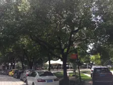 大宁商圈旁00后商品房,19号线地铁口。