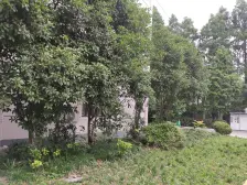 民悦苑3室2厅2卫南北朝向695.00万元/套出售