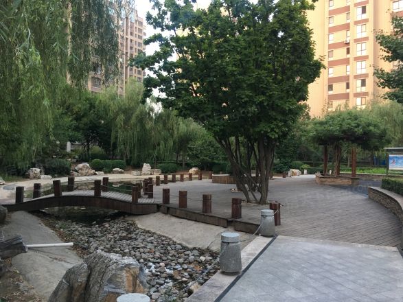 龙山华府实景图