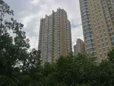 绿城广场四居室 一梯两户 双气 一个房本