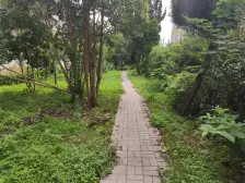 有钥匙:共康六村,三楼,南北二房,全明户型,诚心卖