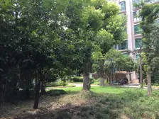 此房满五+一梯两户南北通户型+采光好视野好