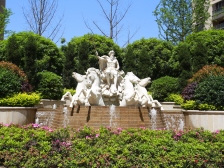 蔷薇西区五六期 毛坯三房 130平 老证 70万 楼层好