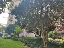 南站·东荡小区·2室·1厅