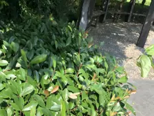 品质小区,交通便利了,高区一房,西边套三面采光