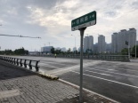 周边梧桐路实景