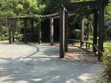 凤凰位置精装修厨卫全明南北双阳台可以看花园