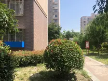 聚缘南庭 1室1厅 南