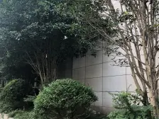 高区看江景,带产权车位,一梯一户,管家服务