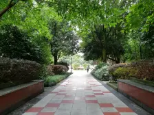 瑞丰花苑 4室2厅 南