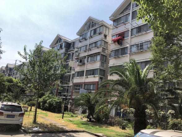 龙沟新苑实景图