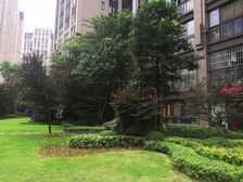 优品道·优品城邦1室1厅南