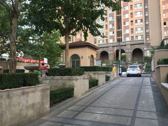 龙山华府实景图