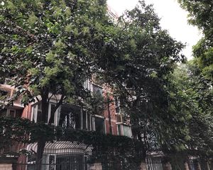 牡丹御园1室1厅东南