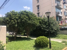 双楠两房,精装修,滨江板块,虹桥区辐射范围内