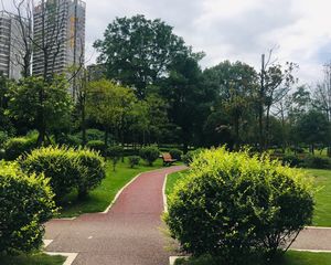 鸿阁新座2室1厅南
