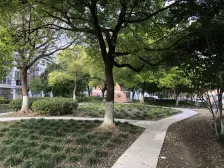 京浦小区82支弄 2室2厅 南 北