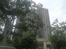 美澜花园地下电动车库 适合放点杂物