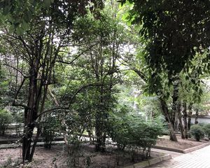 玉林横街19号1室1厅南