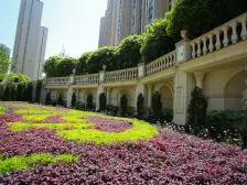 实地蔷薇国际8期 4室2厅 东南