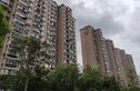 新梅绿岛苑实景图
