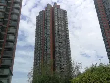 朝南一室一厅,采光好,无遮挡。