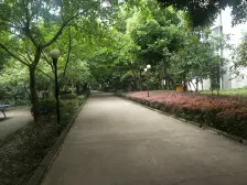 弹子石 康田龙腾湾二房66.9万