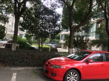 润欣花园 134平方 顶带阁 100万