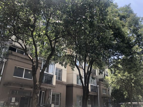 虹梅新苑北区实景图