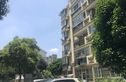 虹梅新苑北区实景图