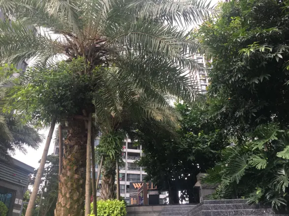 世欧上江城实景图