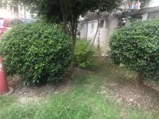 电梯房,产权清晰,刚需上车 新上房源