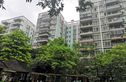绿城印象实景图