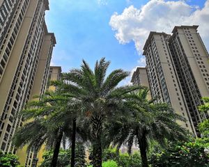 大型绿花小区,高层2房户型,三面采光