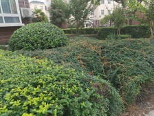 帝湖花园 5室2厅 南