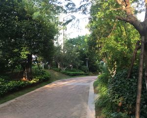 湿地公园旁成熟小区环境好地段好急售