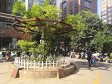 一楼大四室,带一个产权地下室,唯一在售随时签约