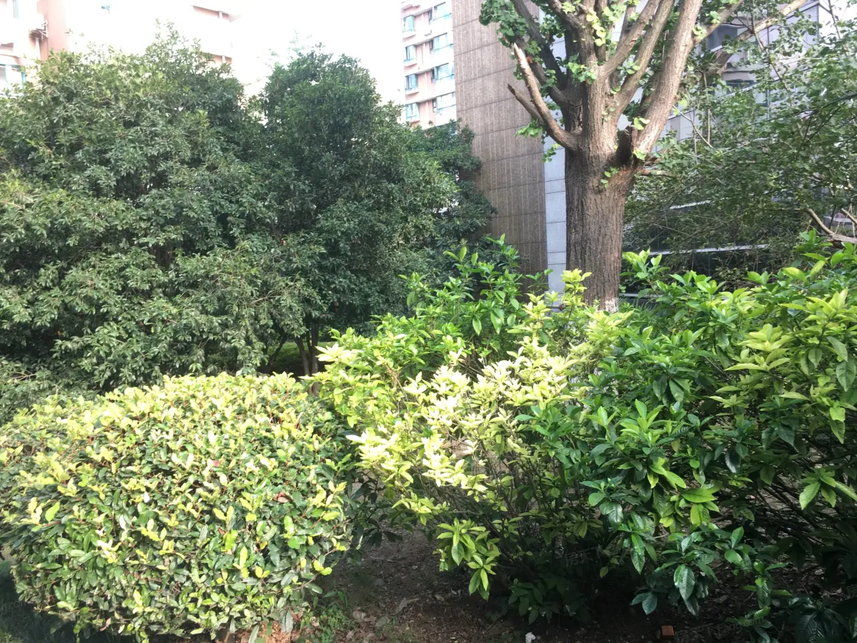 【南京阅城国际花园小区,二手房,租房】- 南京房天下