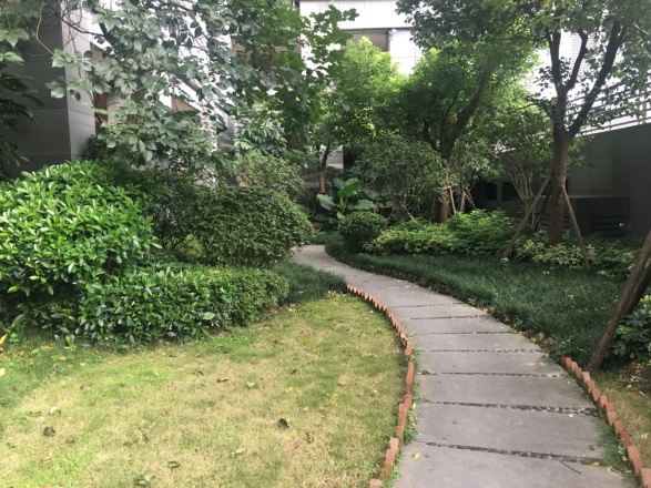 世欧上江城实景图