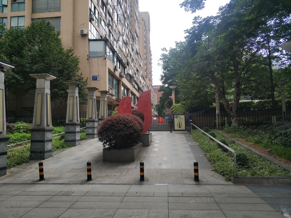 小区相关图
