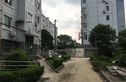 南竹园实景图