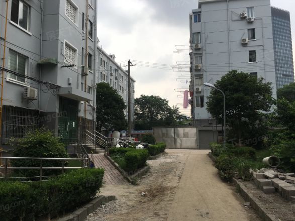 南竹园实景图
