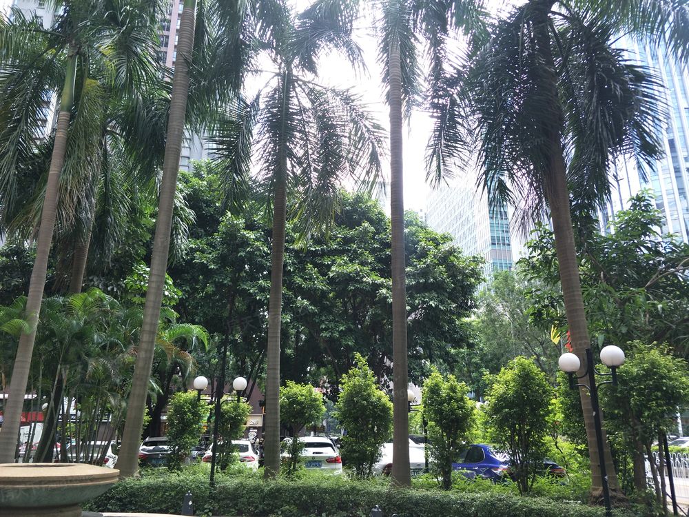 小区相关图