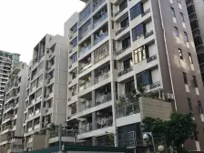 大良南区逸林苑 电梯低层,70年产权,套房能入户